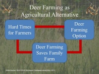 Deer Farms Presented by Blair Saxon Prepared for Dr. Mark Hearn CBA Business Communications May ppt download