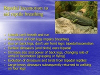 The most successful vertebrate group evolved in aquatic environments with low and variable concentrations of dissolved oxygen... 