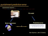 Global plan Reinforcement learning I: –prediction –classical conditioning –dopamine Reinforcement learning II: –dynamic... 
