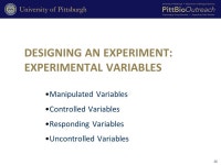 Making Cells Glow: Bacterial Transformation with pGLO Plasmid DNA. -  ppt download