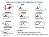 Aptamers as New Tools for Inhibiting Cytokine Activity Howard A. Young Laboratory of Experimental Immunology Cancer and... 