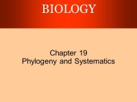 BIOLOGY Chapter 19 Phylogeny and Systematics. Copyright © 2003 Pearson Education, Inc. publishing as Benjamin Cummings Phylogeny... 