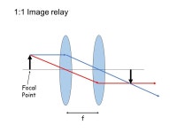 Biology 177: Principles of Modern Microscopy Lecture 07: Confocal Microscopy Adding the Third Dimension. -  ppt download