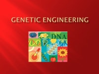 At the end of this lesson you should be able to 1. Define Genetic Engineering 2. Outline the process of genetic engineering... 