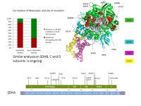 AN INTEGRATED ANALYSIS OF GENETIC AND EPIGENETIC ALTERATIONS IN GASTROINTESTINAL STROMAL TUMORS REVEALS DISTINCT CLINICAL... 