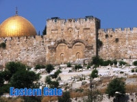 Introduction. Course Objectives Define the parts of the New Testament Canon and the principles of its formation. Apply... 