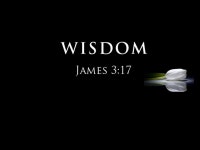 with regard to the application of such 1. The quality of having experience, knowledge, 	and good judgment; the quality of being... 