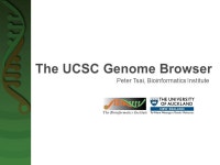 Peter Tsai, Bioinformatics Institute.  University of California, Santa Cruz (UCSC)  A rapid and reliable display of any requested... 