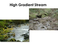 Habitat Assessment Developed by Ken Cooke Kentucky Division of Water Watershed Watch Program Coordinator Modified by Mike Kemp... 