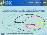 Suicide Prevention: What Providers Should Know about Returning Veterans and Military Personnel David Litts, O.D. Director, Policy... 