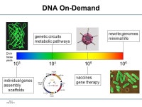 SS -1 PAC 8/18/11 Recoding the Genome Peter Carr 18 August 2011 FAB7 Lima, Peru. -  ppt download