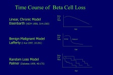 R2=.37 P<.0001 Steck et al Diabetes Care R2=.47 p<.0001 Steck et al Diabetes Care ppt download