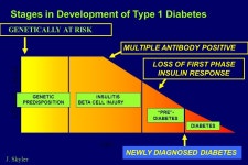 R2=.37 P<.0001 Steck et al Diabetes Care R2=.47 p<.0001 Steck et al Diabetes Care ppt download