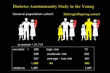 R2=.37 P<.0001 Steck et al Diabetes Care R2=.47 p<.0001 Steck et al Diabetes Care ppt download