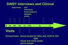 R2=.37 P<.0001 Steck et al Diabetes Care R2=.47 p<.0001 Steck et al Diabetes Care ppt download