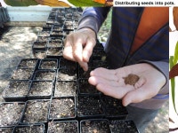 Lyn Ellis and Murray McCracken at Currajuggle Creek Nursery 2014 Champions of the Catchment Place Story. -  ppt download