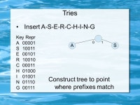 Data Structures & Algorithms Radix Search Richard Newman based on slides by S. Sahni and book by R. Sedgewick. -  ppt download