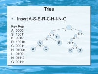 Data Structures & Algorithms Radix Search Richard Newman based on slides by S. Sahni and book by R. Sedgewick. -  ppt download