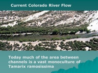 Colorado River Delta SWES 574 Fall 2003 W.J. Ward. -  ppt download