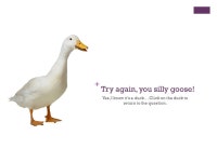 + THE GREAT GATSBY QUIZ Let’s see if you’ve been paying attention… -  ppt download