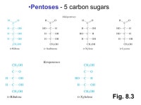 Prentice Hall c2002Chapter 81 Chapter 8 - Carbohydrates Carbohydrates (“hydrate of carbon”) have empirical formulas of (CH 2... 