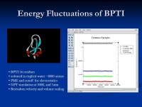 Biophysical Chemistry G4170: Introduction to Molecular Dynamics Ruhong Zhou IBM Thomas Watson Research Center Yorktown Heights... 