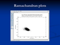 Biophysical Chemistry G4170: Introduction to Molecular Dynamics Ruhong Zhou IBM Thomas Watson Research Center Yorktown Heights... 
