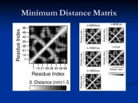 Biophysical Chemistry G4170: Introduction to Molecular Dynamics Ruhong Zhou IBM Thomas Watson Research Center Yorktown Heights... 