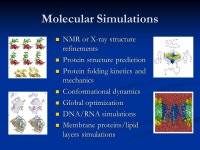 Biophysical Chemistry G4170: Introduction to Molecular Dynamics Ruhong Zhou IBM Thomas Watson Research Center Yorktown Heights... 