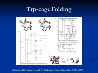 Biophysical Chemistry G4170: Introduction to Molecular Dynamics Ruhong Zhou IBM Thomas Watson Research Center Yorktown Heights... 
