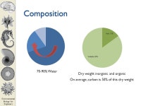 CEE 210 ENVIRONMENTAL BIOLOGY FOR ENGINEERS Lecture 6: Quantifying Microorganisms Instructor: L.R. Chevalier Department of Civil... 