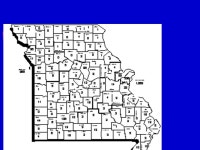 Syphilis David M. Bracciano, D.O. Syphilis Aka lues Contagious, sexually transmitted disease Spirochete Treponema pallidum Enters... 