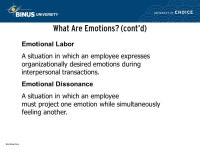 Personality and Emotions Pertemuan 4 Matakuliah: G0292/Organizational Behavior Tahun: 2007 Adapted from: ORGANIZATIONAL BEHAVIOR... 