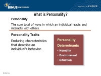 Personality and Emotions Pertemuan 4 Matakuliah: G0292/Organizational Behavior Tahun: 2007 Adapted from: ORGANIZATIONAL BEHAVIOR... 