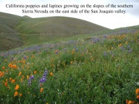 UNLV Geology 471/671 Petroleum Geology Fieldtrip to the San Joaquin Valley and Central California Coast UNLV Geology 471/671... 
