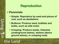 What to Do About Weeds Developed by: Susan Donaldson University of Nevada Cooperative Extension UNCE, Reno, Nev. -  ppt download