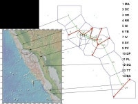 17 cm 6 mm Kellet’s whelk, Kelletia kelletii Habitat: Rocky reef/kelp forests. Partial migration offshore during winter?... 