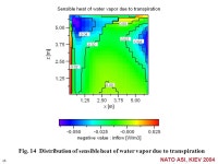 Modeling a Microclimate within Vegetation Hisashi Hiraoka Academic Center for Computing and Media Studies Kyoto University NATO... 