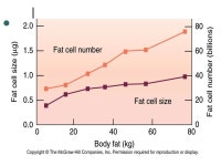 BODY COMPOSITION Chapters 18 *Your 10 point quiz is the very next slide!! -  ppt download