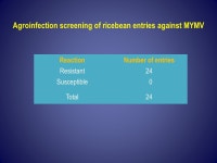 Screening of mungbean and ricebean entries for Mungbean Yellow Mosaic Virus Resistance through Agroinfection Department of Plant... 