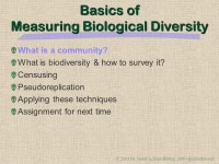 Measuring Biological Diversity EEEB G6185 James A. Danoff-Burg Dept. Ecol., Evol., & Envir. Biol. Columbia University. -  ppt... 
