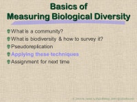 Measuring Biological Diversity EEEB G6185 James A. Danoff-Burg Dept. Ecol., Evol., & Envir. Biol. Columbia University. -  ppt... 