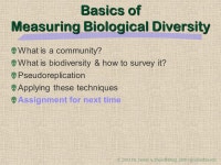 Measuring Biological Diversity EEEB G6185 James A. Danoff-Burg Dept. Ecol., Evol., & Envir. Biol. Columbia University. -  ppt... 