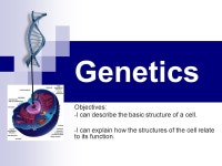 Genetics Objectives: - I can describe the basic structure of a cell. - I can explain how the structures of the cell relate to its... 