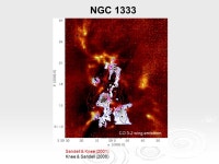 The Structures and Kinematics of Protoclusters James Di Francesco (NRC-HIA) IAU Symposium 221 Sydney, Australia July 23, ppt download