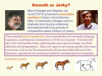 ORGANIZATIONAL EVOLUTION Charles Darwin & Alfred Wallace Explanation of continuously emerging novel biological forms or... 