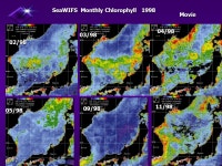 NRL 7343 Nov’97 Seasonal Variability of the surface bio-optical and Thermal Structure of the Japan/East Sea Using AVHRR and... 