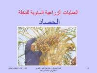 ايطاليا 15-16/11/99الندوة السادسة وورشة عمل التعاون العربي الايطالي في... 
