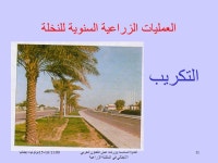 ايطاليا 15-16/11/99الندوة السادسة وورشة عمل التعاون العربي الايطالي في... 