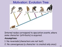 . Phylogenetic Trees Lecture 3 Based on: Durbin et al 7.4; Gusfield ppt download